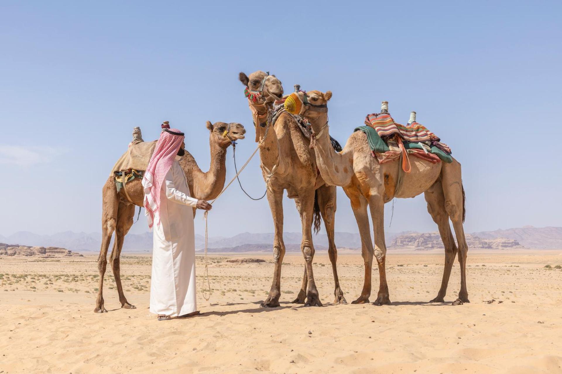 Wadi Rum Camp & Jeep Tour 외부 사진
