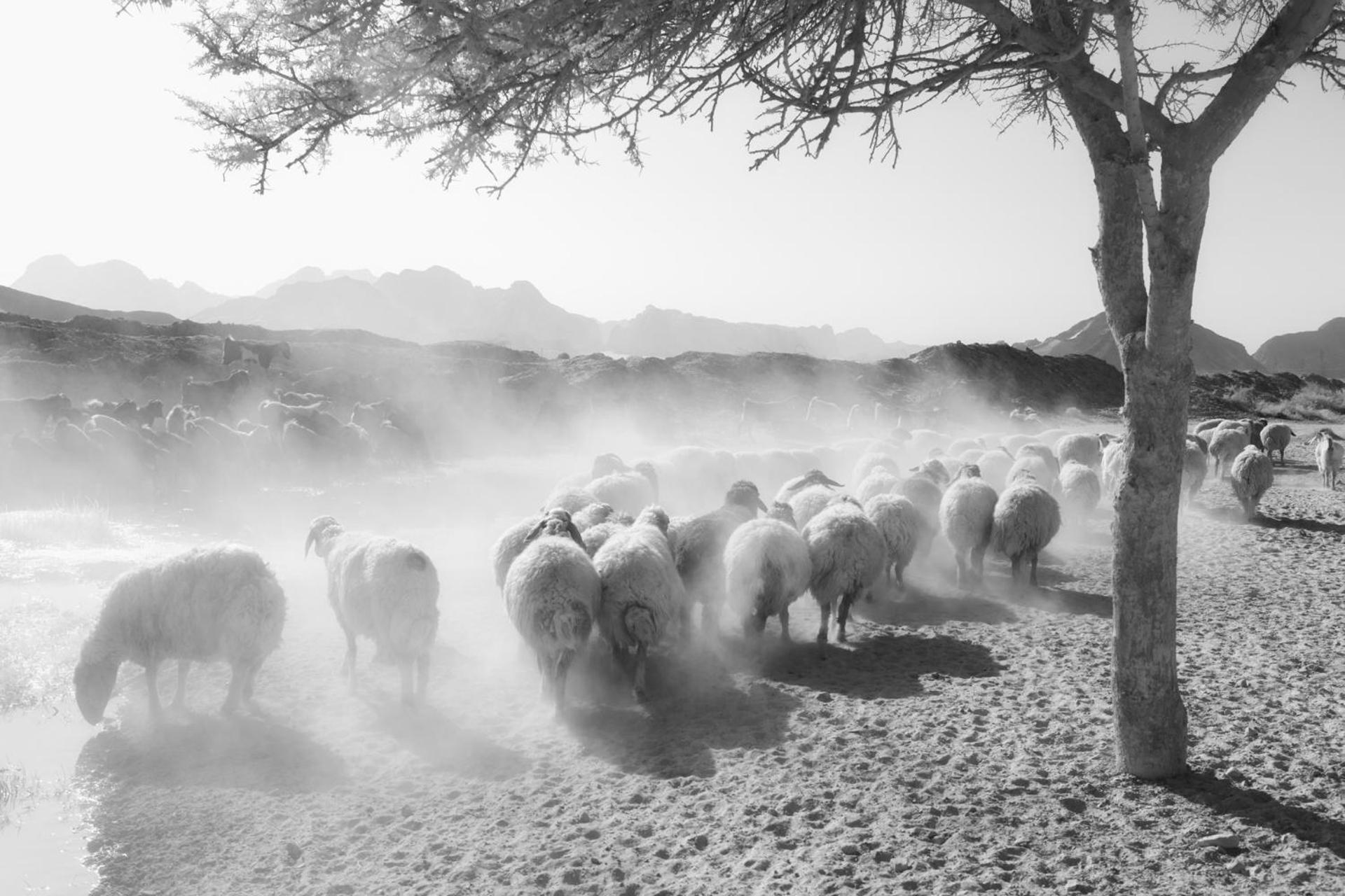 Wadi Rum Camp & Jeep Tour 외부 사진