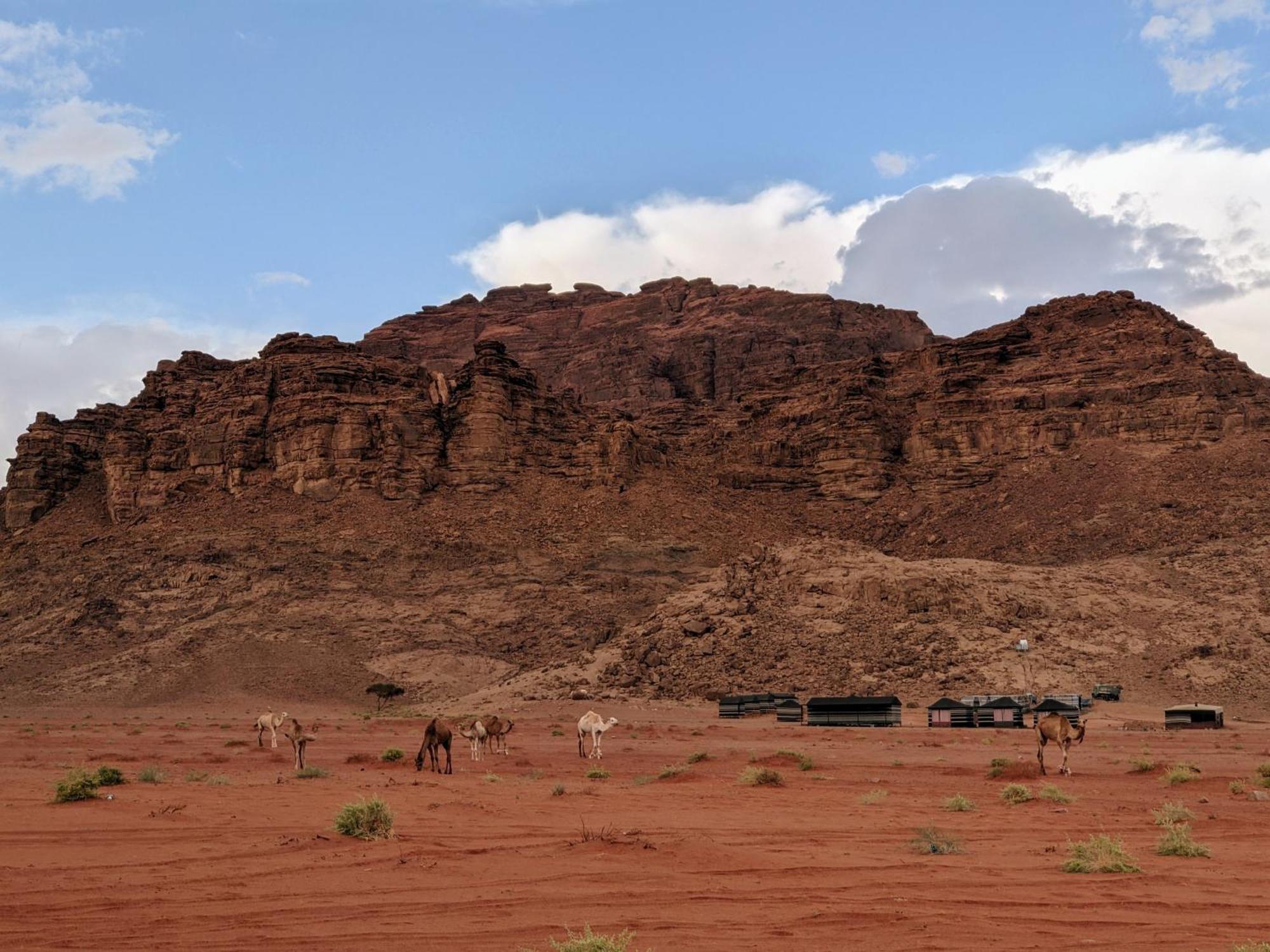 Wadi Rum Camp & Jeep Tour 외부 사진